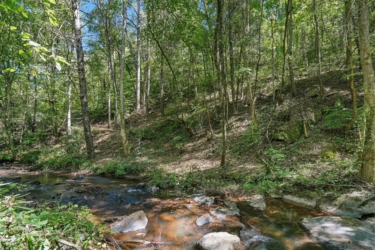 0 Dell Moore Road, Marble Hill, GA 30148 - #1