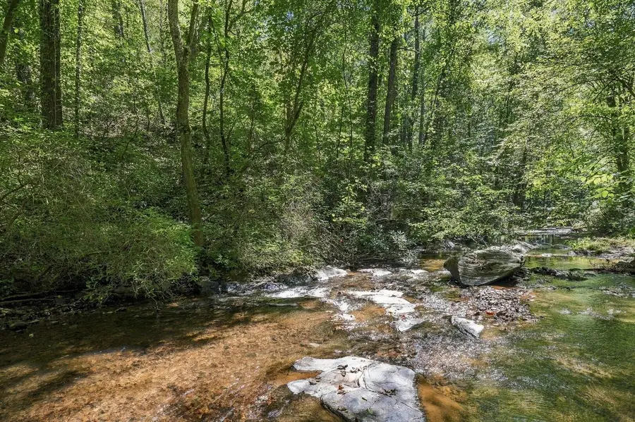 0 Dell Moore Road, Marble Hill, GA 30148 - #2