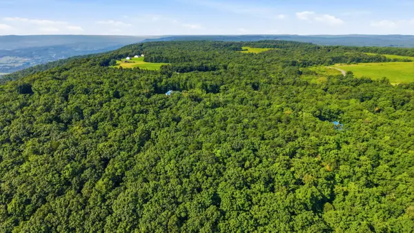 0 Timber View Road, Pikeville, TN 37367