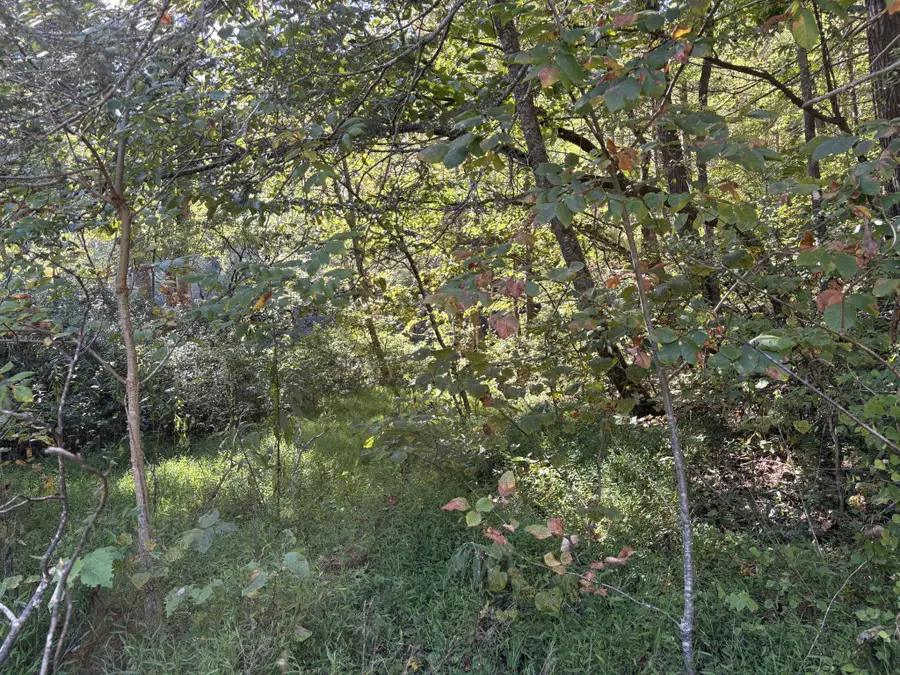 0 N Clearfork Rd, Sevierville, TN 37862 - #2
