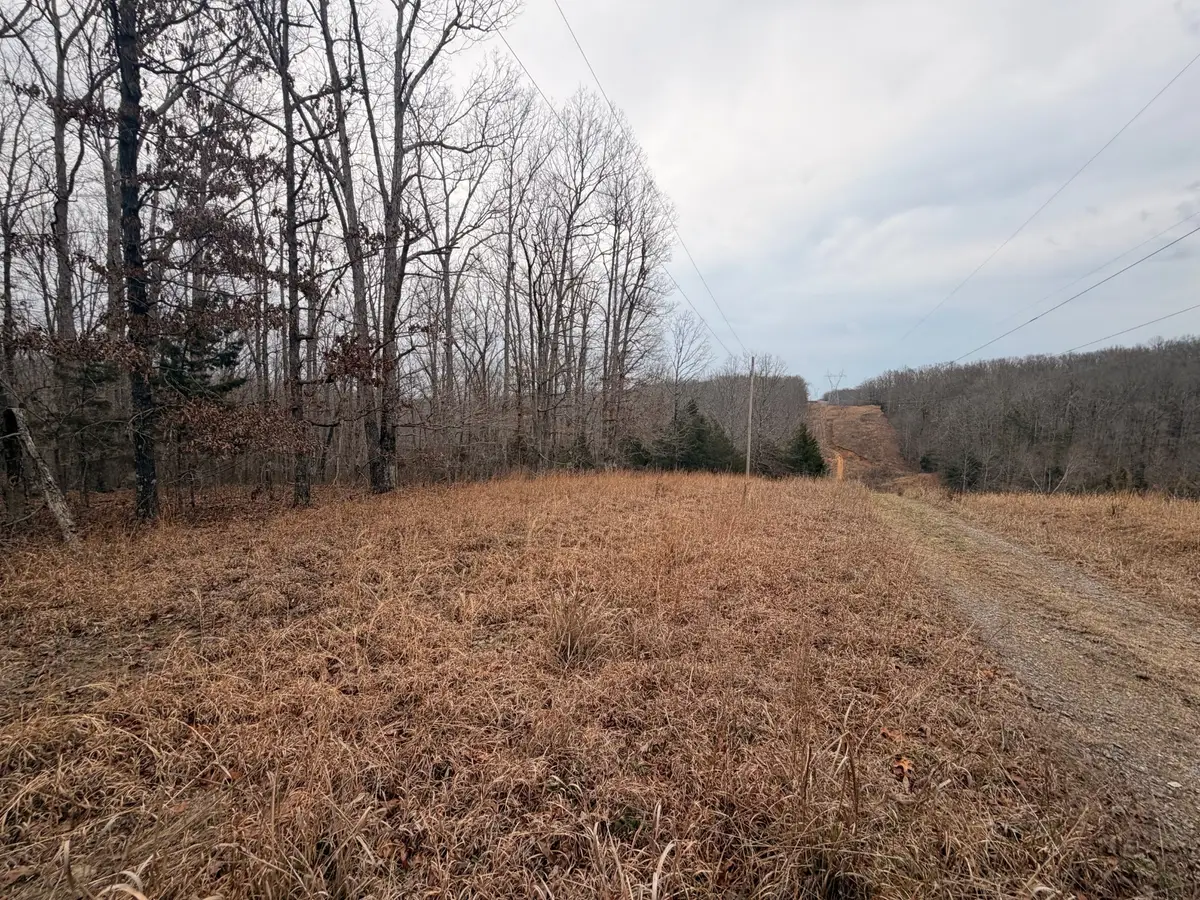 4 Blue Bird Ct, Nunnelly, TN 37137 - #1