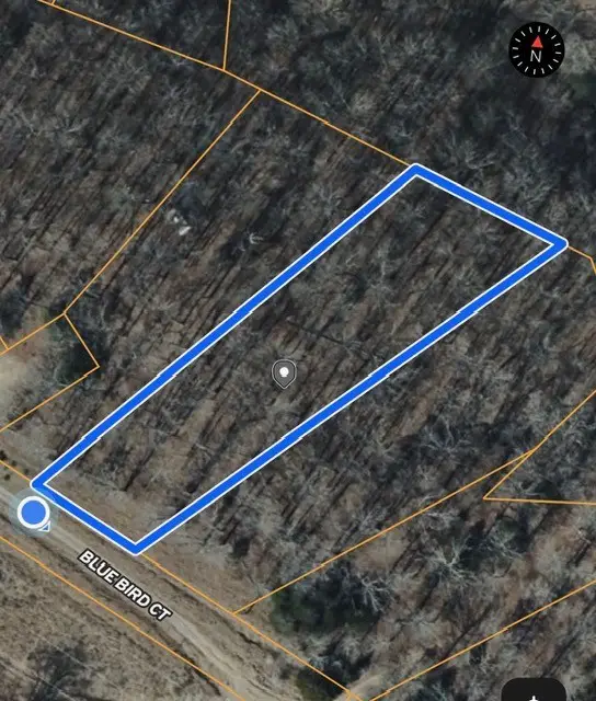 4 Blue Bird Ct, Nunnelly, TN 37137 - #3