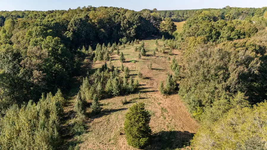 9 Gowen Rd, Leoma, TN 38468 - #3