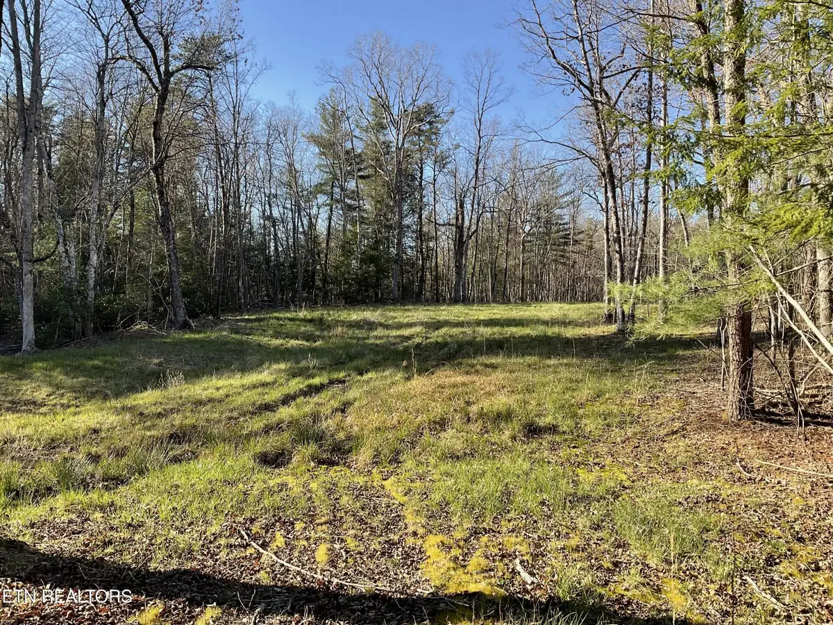 2 Pine Breeze Drive, Monterey, TN 38574 - #1