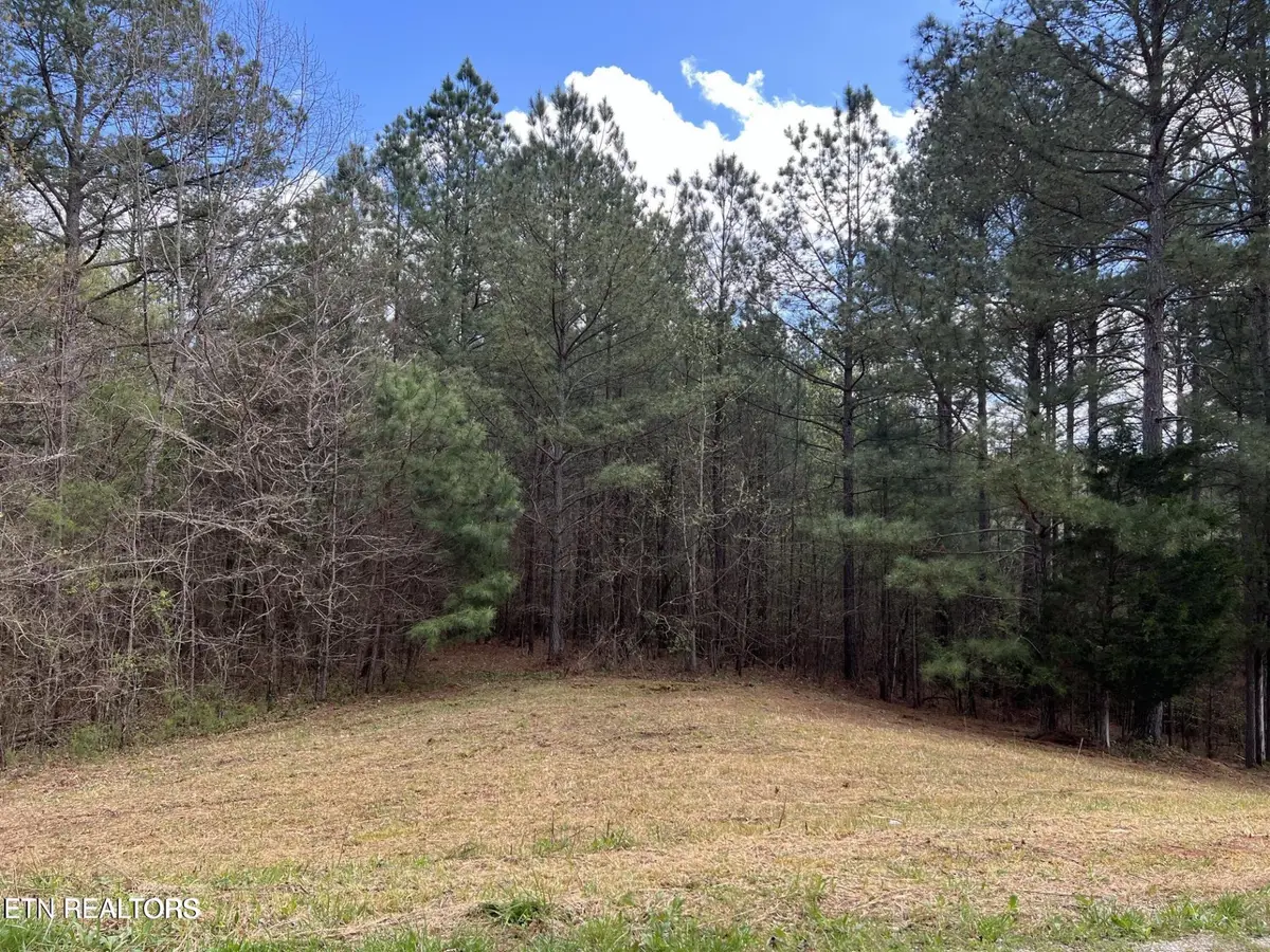 1727 Grand Pine Point, Maryville, TN 37801 - #1