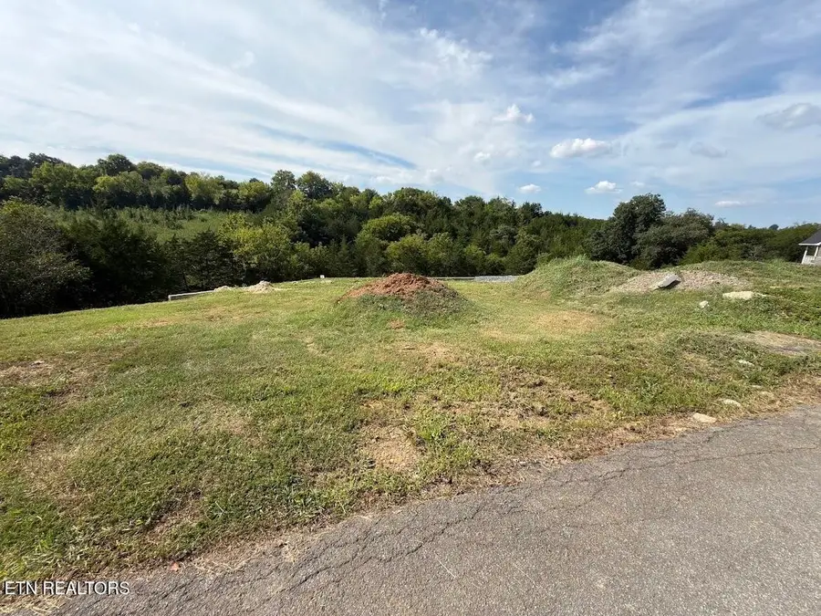 20 Ally Lane, Sevierville, TN 37876 - #3