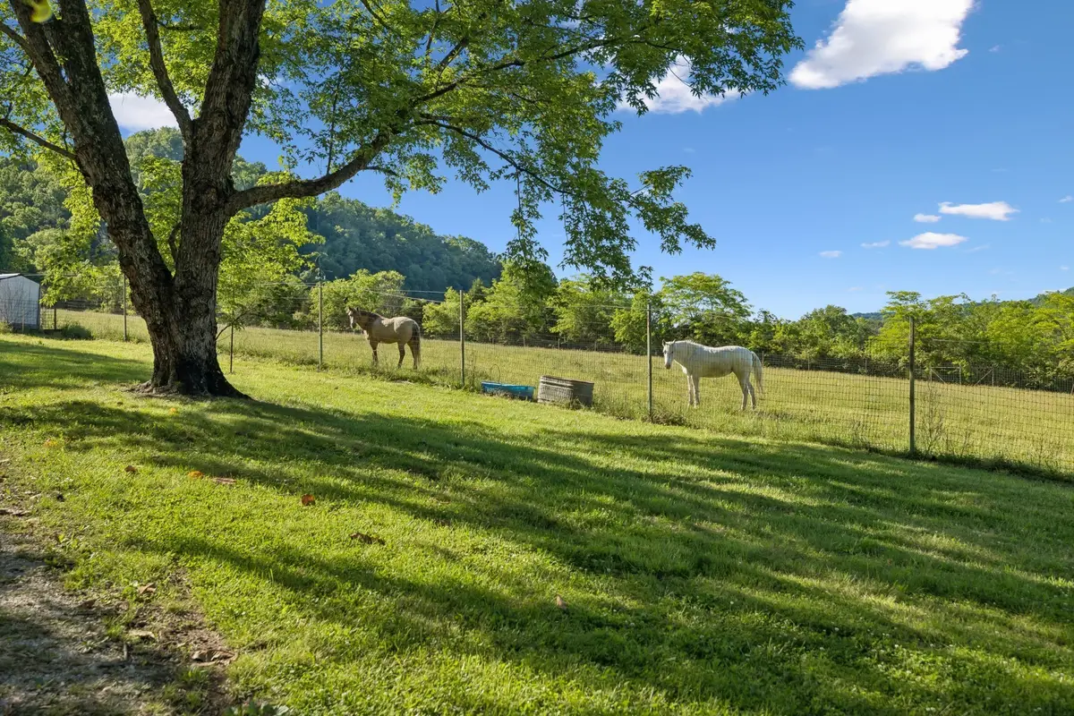 97 Seabo Valley Ln, Hickman, TN 38567 - #1