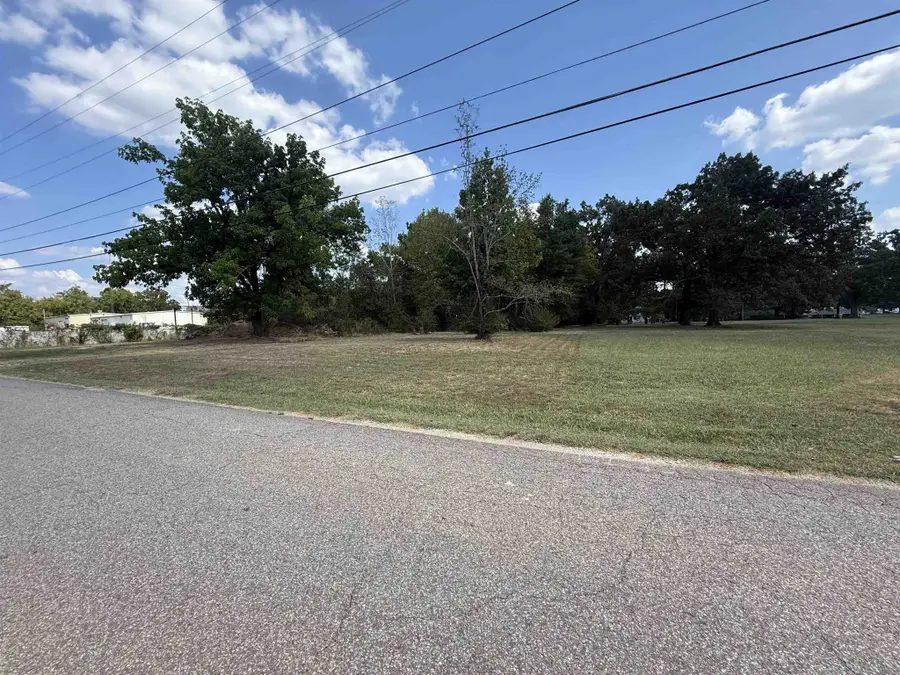 250 Shell St, Savannah, TN 38372 - #3