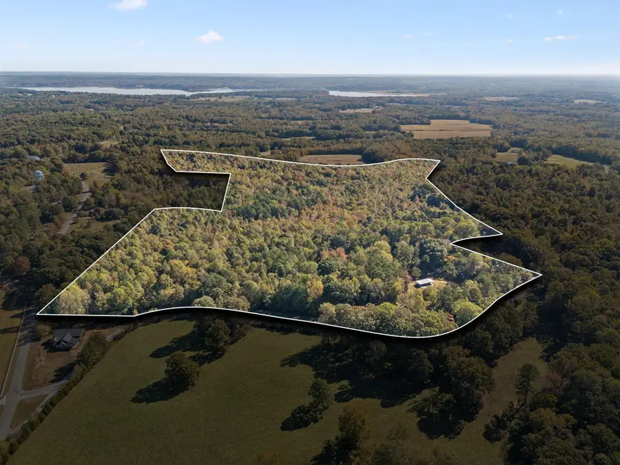 534 Whitney Branch Rd, Springville, TN 38256 - #3