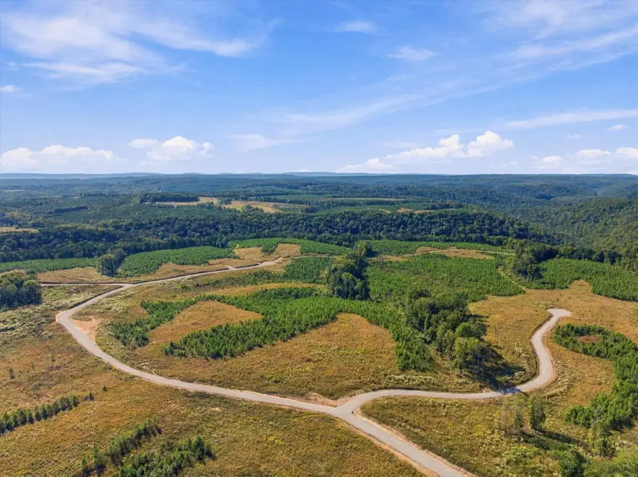 0 Saddleback Road, Dunlap, TN 37327 - #3