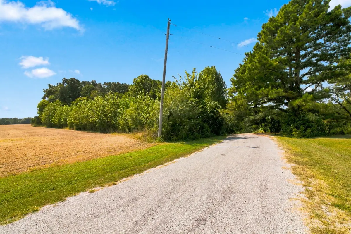 371 Wildwood Ln, Paris, TN 38242 - #1