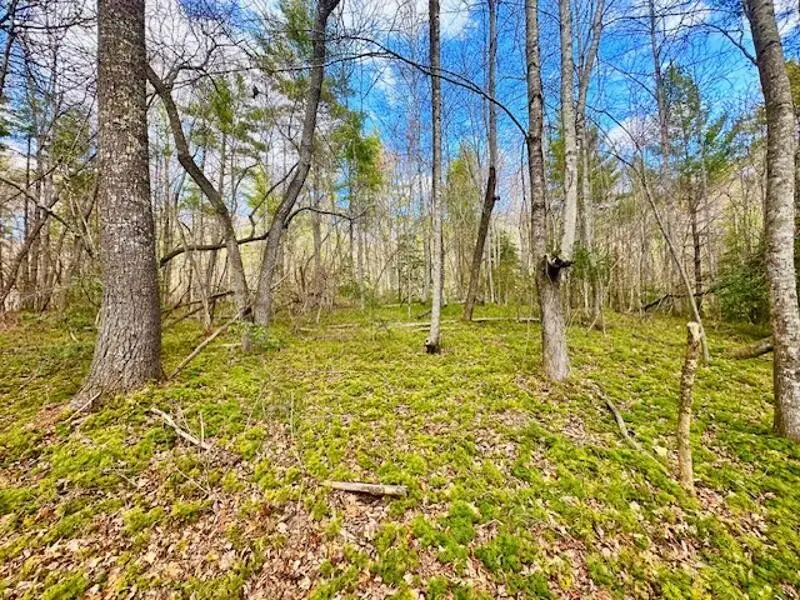 144 Gunter Place Rd, Sunbright, TN 37872 - #1
