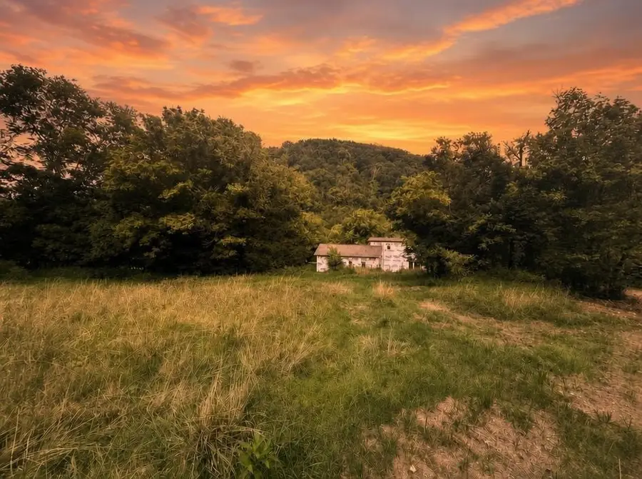 315 Little Creek Rd, Pleasant Shade, TN 37145 - #3