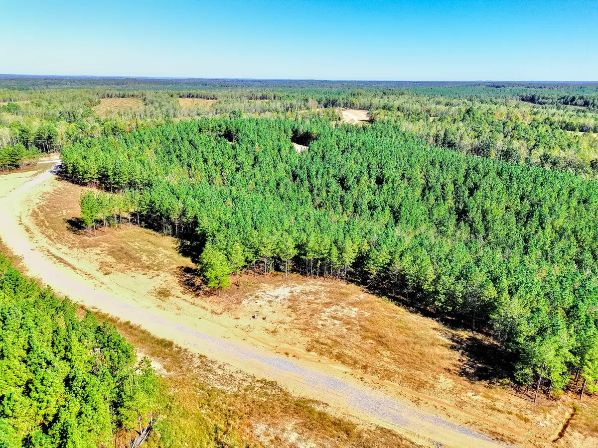 0 Warren Proctor Lane, Erin, TN 37061 - #1