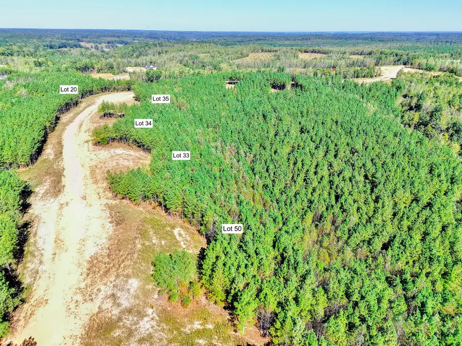 0 Warren Proctor Lane, Erin, TN 37061 - #3