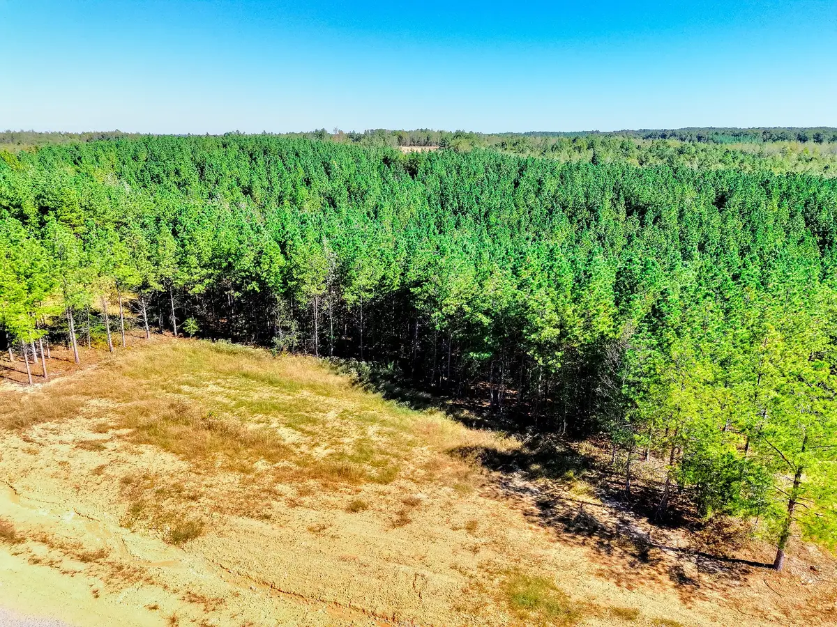 0 Warren Proctor Ln, Erin, TN 37061 - #1