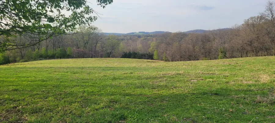 1 Haley Rd, College Grove, TN 37046 - #3