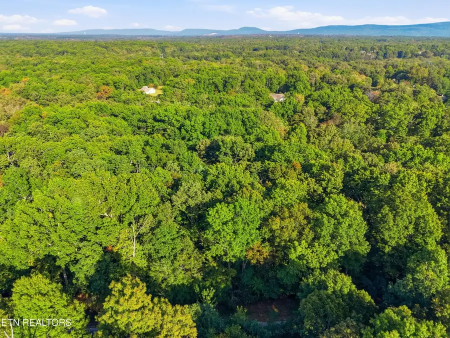 615 Catawba Lane, Crossville, TN 38572 - #3
