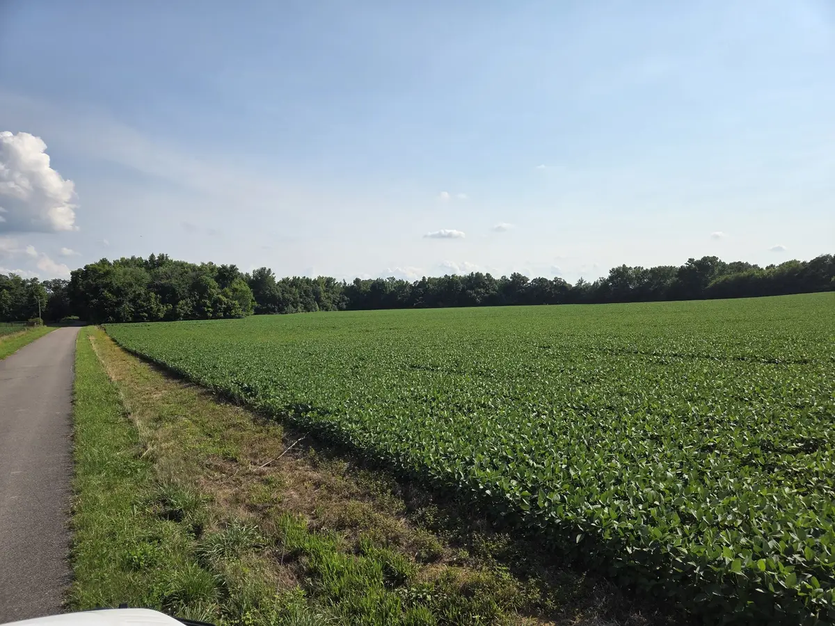 0 Power Station Road, Taft, TN 38488 - #1