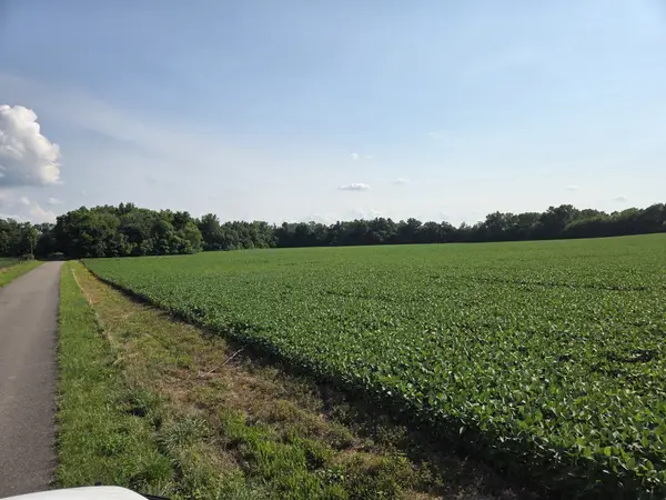 0 Power Station Road, Taft, TN 38488