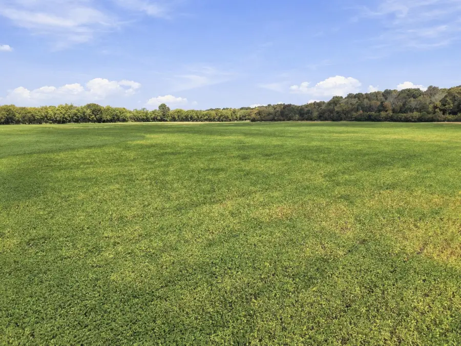 5479 Beech Log Rd, Lebanon, TN 37090 - #2