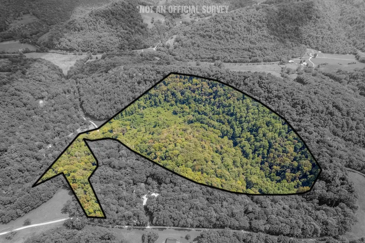 0 Watts Hollow Rd, Buffalo Valley, TN 38548 - #1