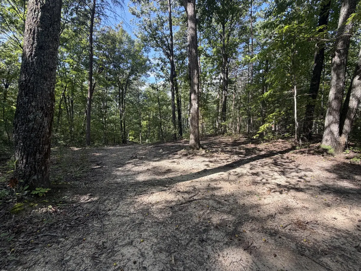 0 Mecca Pike, Tellico Plains, TN 37385 - #1