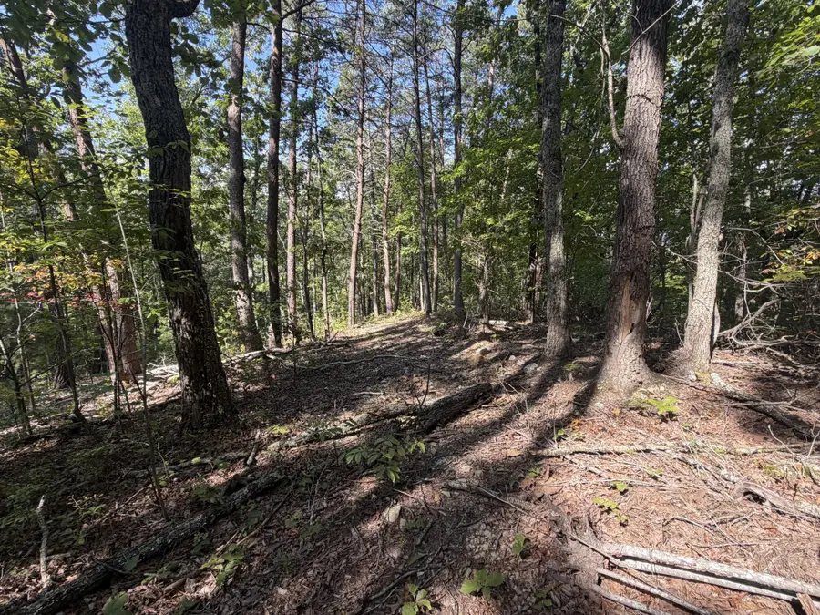 0 Mecca Pike, Tellico Plains, TN 37385 - #2