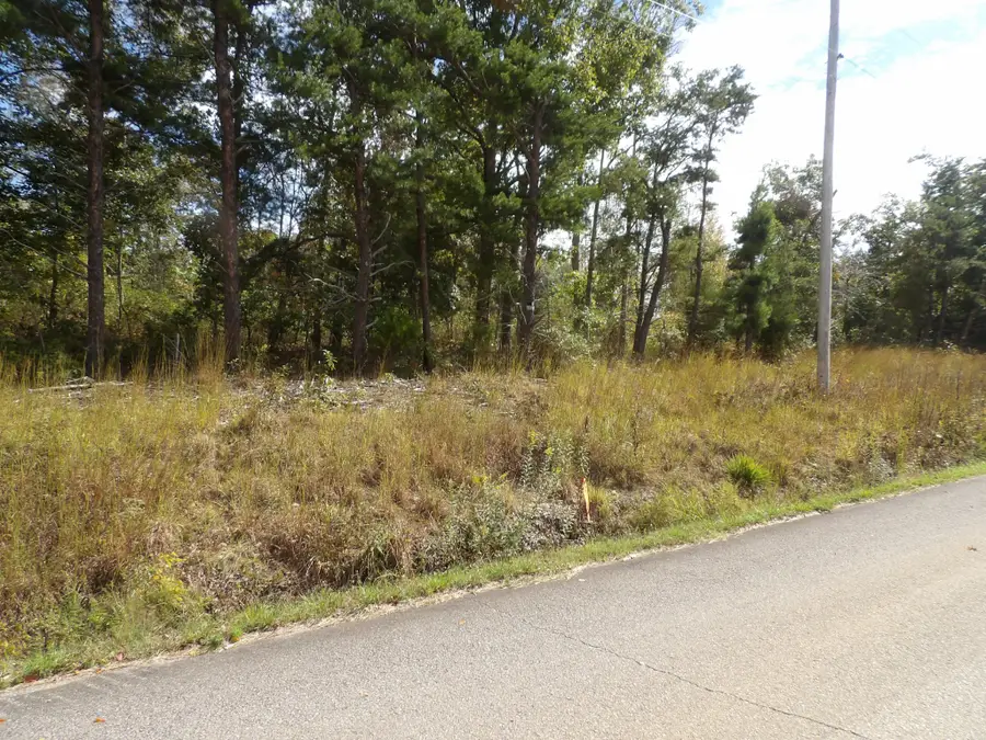 0 Williams Hollow Road, Waverly, TN 37185 - #2