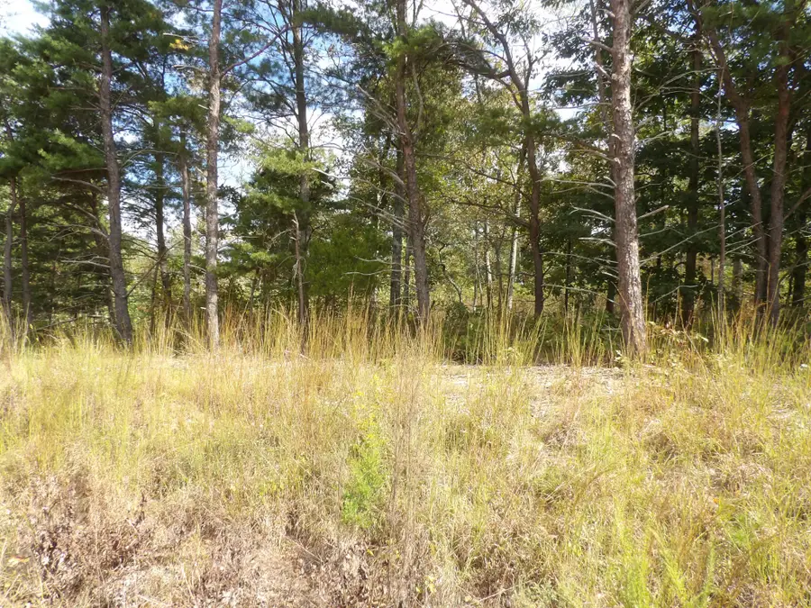 0 Williams Hollow Road, Waverly, TN 37185 - #3