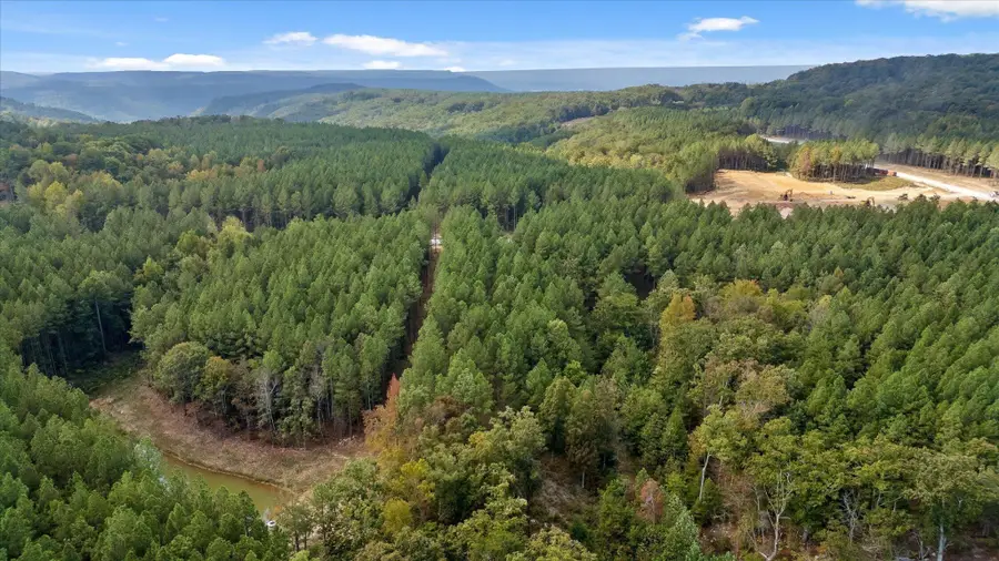 5370 River Bend Road, Guild, TN 37340 - #2