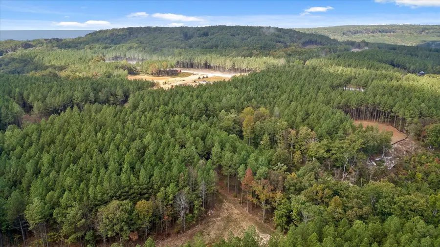 5370 River Bend Road, Guild, TN 37340 - #3