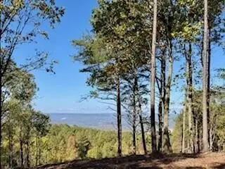 0 Top Shelf Street, Guild, TN 37340 - #1