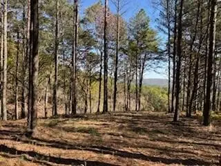 0 Top Shelf Street, Guild, TN 37340 - #2