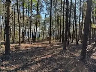 0 Top Shelf Street, Guild, TN 37340 - #3