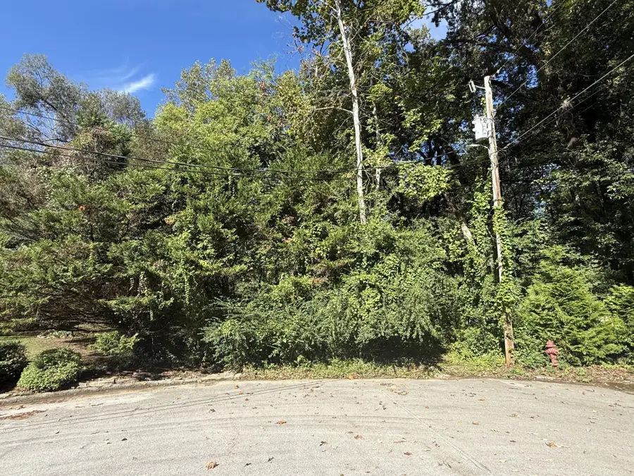 7603 Cliff Point Lane, Ooltewah, TN 37363 - #3
