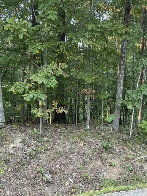 0 Woodland Way, Estill Springs, TN 37330 - #1