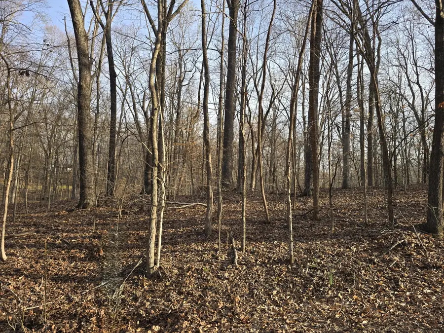 33 Rockcastle Shores, Cadiz, KY 42211 - #3