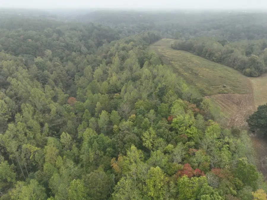 1766 Clifty Rd, Westmoreland, TN 37186 - #2
