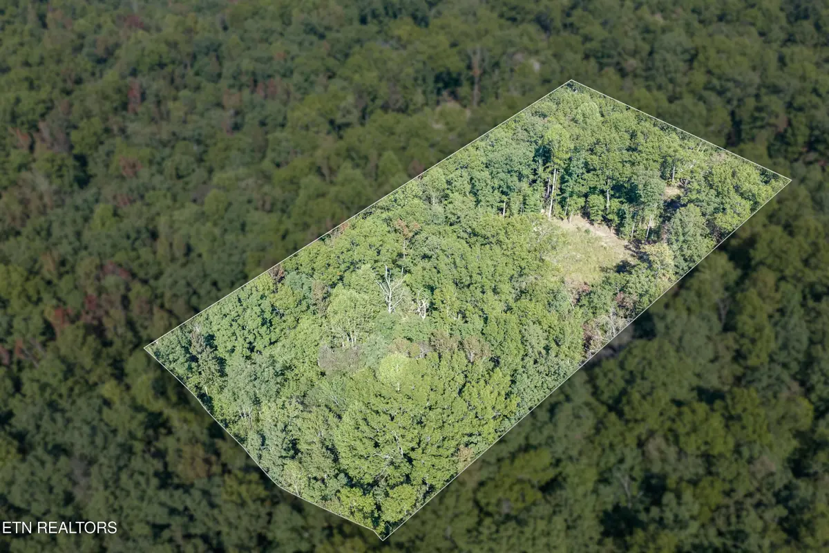 1426 E Overlook Rd, Monterey, TN 38574 - #1