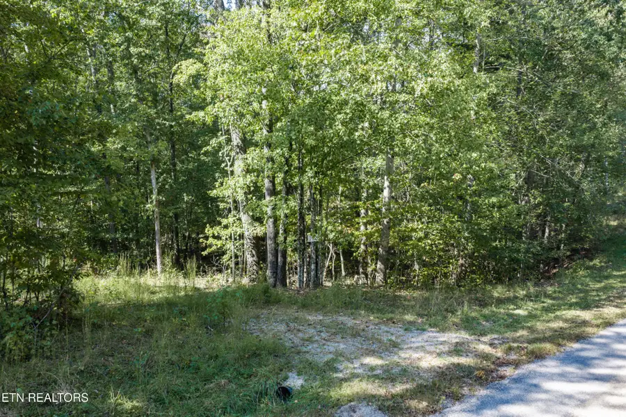 1426 E Overlook Rd, Monterey, TN 38574 - #3