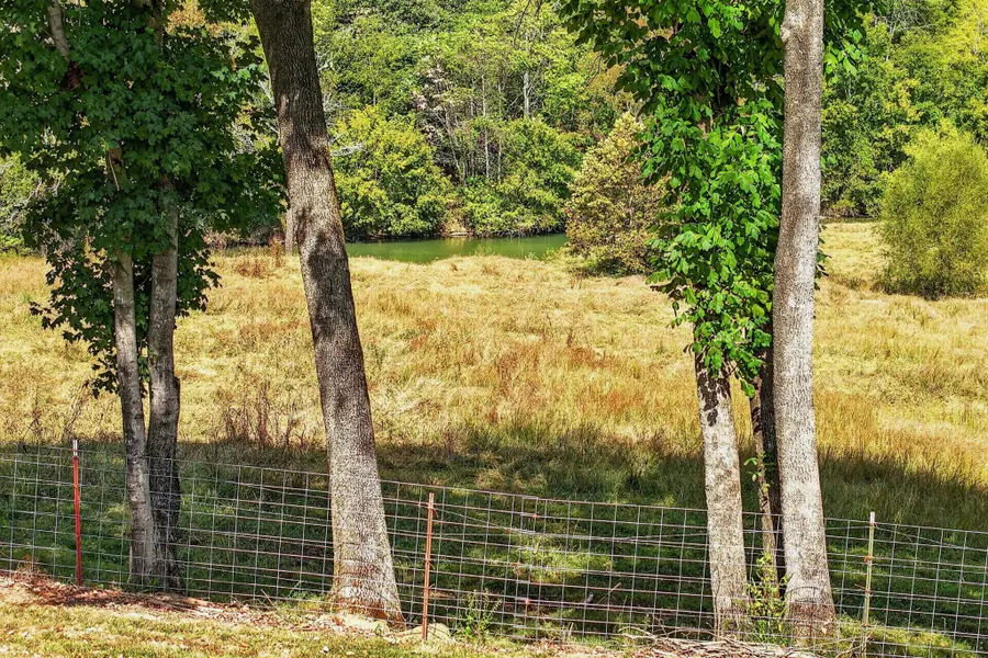787 Blue Springs Rd, Sparta, TN 38583 - #3