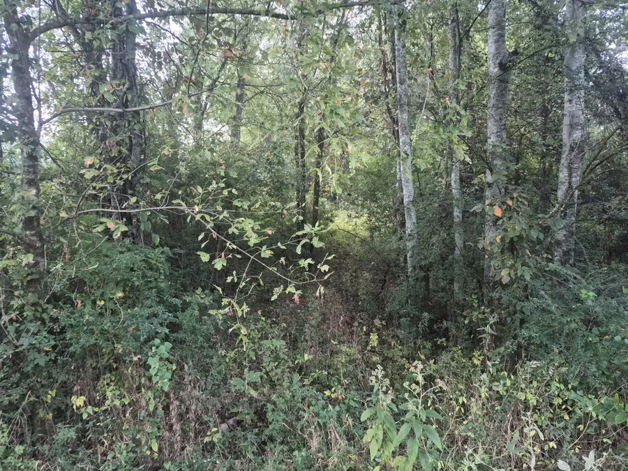 1 Dixon Town Road, Prospect, TN 38477 - #3