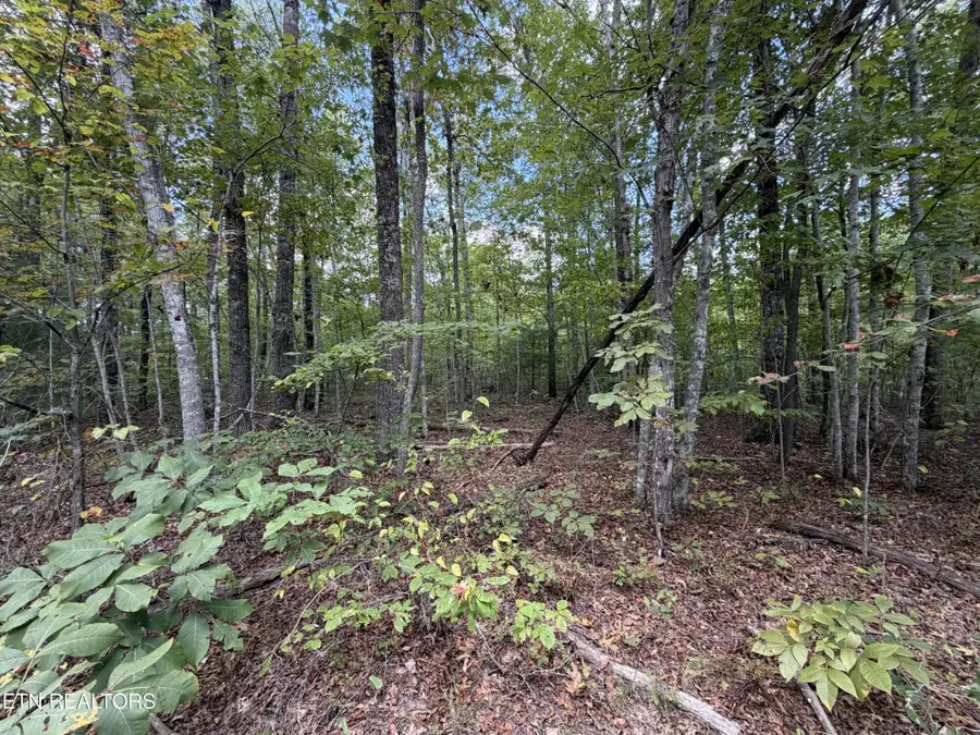 634 Horse Creek Rd, Jamestown, TN 38556 - #3
