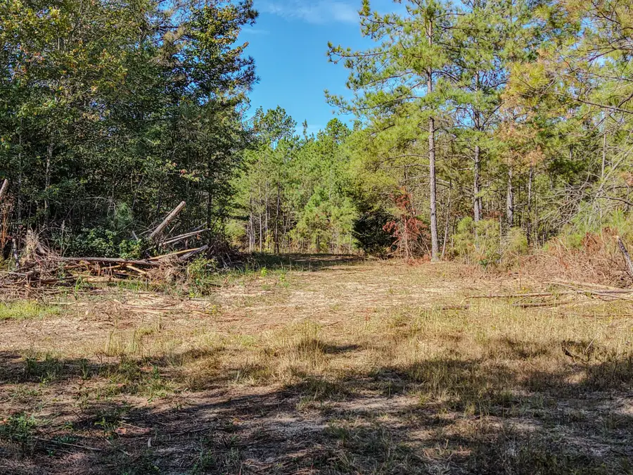 0 Henryville Rd, Ethridge, TN 38456 - #3