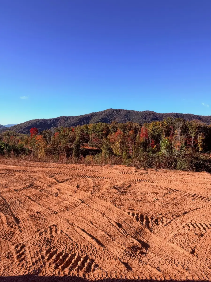 433 Ridge Creek Way, Cosby, TN 37722 - #3