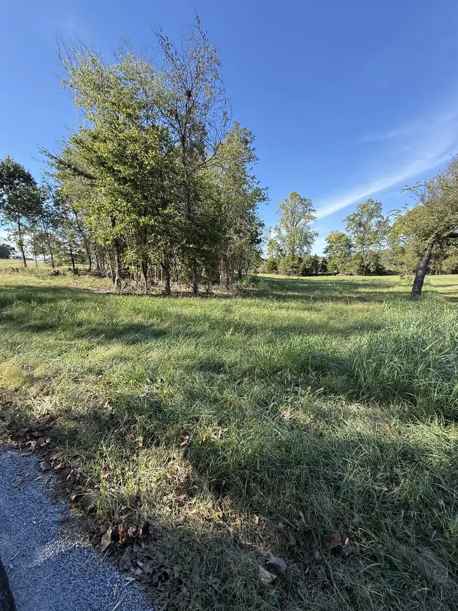 0 Bessie Clark Rd, Erin, TN 37061 - #2