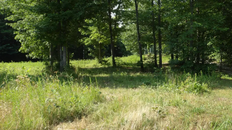 580 Pleasant Cemetery Lane, Gainesboro, TN 38562 - #2