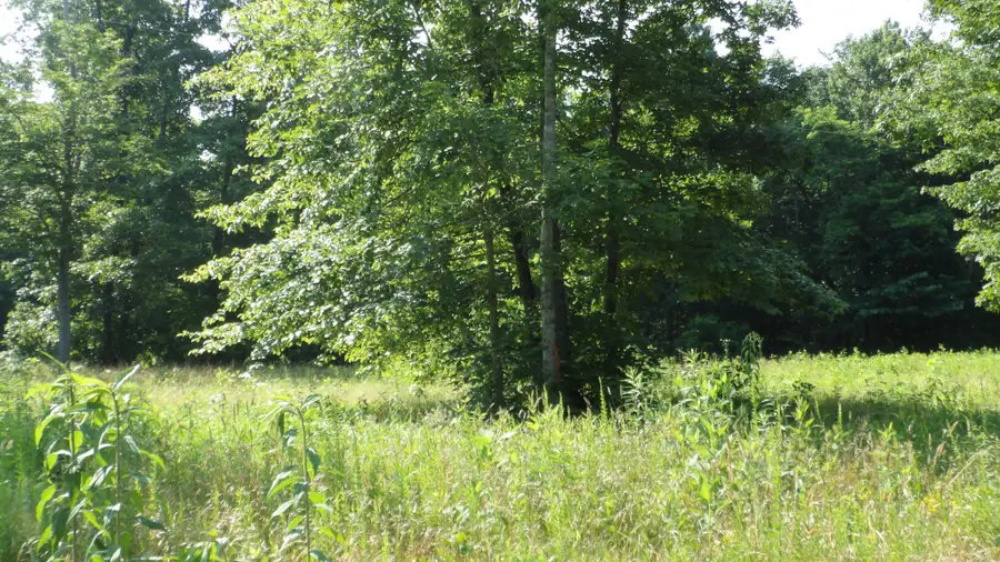 580 Pleasant Cemetery Lane, Gainesboro, TN 38562 - #3
