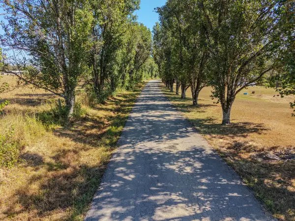 0 Shannon Rd, Leoma, TN 38468